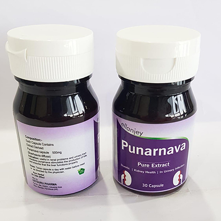 Product Name: Punarnava, Compositions of Punarnava are An Ayurvedic Proprietary Medicine - Ellanjey Lifesciences