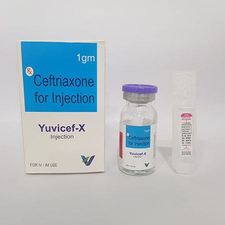 Product Name: YUVICEF X, Compositions of YUVICEF X are Ceftriaxone For Injection - Vindcare Lifesciences